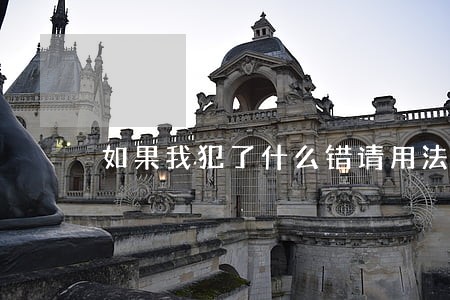 如果我犯了什么错请用法律制裁我 如果我犯了什么错请用法律制裁我
