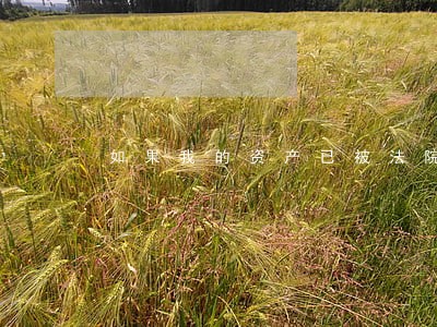 如果我的资产已被法院查封了 如果我的资产已被法院查封了