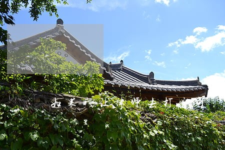 如果我让律师去打官司 如果我让律师去打官司