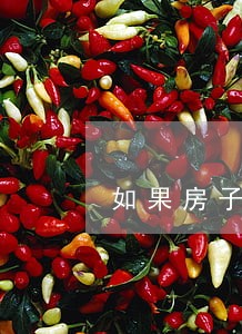 如果房子被法院拍卖怎么处理 如果房子被法院拍卖怎么处理