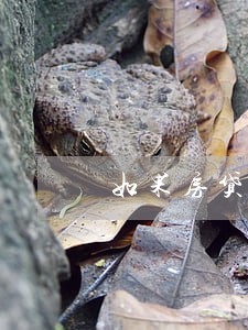 如果房贷逾期2年会发生什么情况 如果房贷逾期2年会发生什么情况
