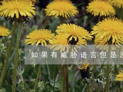 如果有威胁语言但是没有违法行为 如果有威胁语言但是没有违法行为