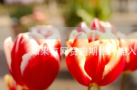 如果有网贷逾期银行能入职吗 如果有网贷逾期银行能入职吗
