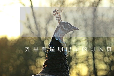 如果有逾期记录的可以贷款吗 如果有逾期记录的可以贷款吗
