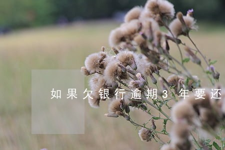 如果欠银行逾期3年要还吗 如果欠银行逾期3年要还吗