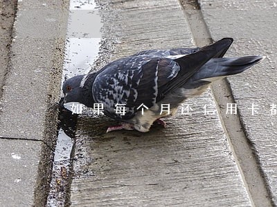 如果每个月还信用卡都逾期一天