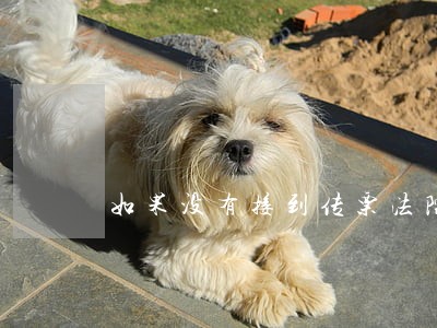 如果没有接到传票法院可以开庭吗 如果没有接到传票法院可以开庭吗