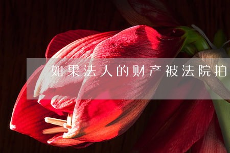 如果法人的财产被法院拍卖