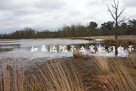 如果法院不立案他们会不会通知你