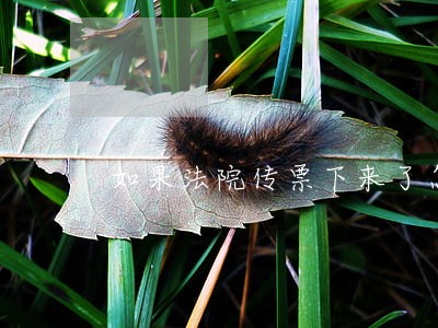 如果法院传票下来了怎么处理 如果法院传票下来了怎么处理