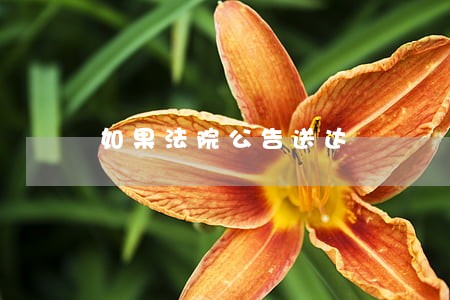 如果法院公告送达 如果法院公告送达