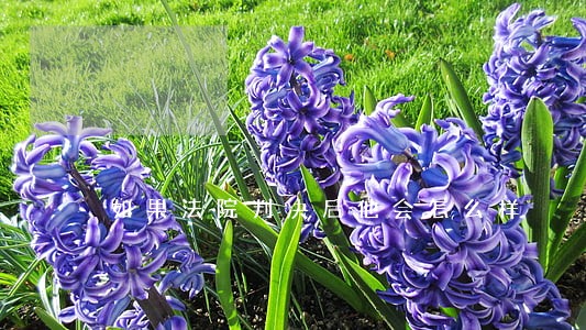 如果法院判决后他会怎么样 如果法院判决后他会怎么样