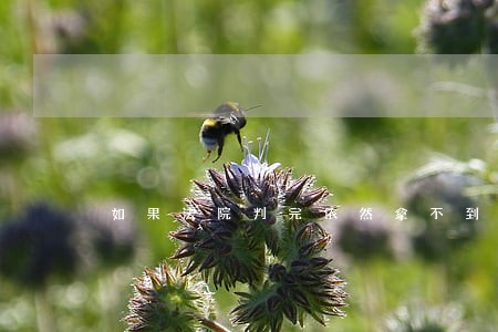 如果法院判完依然拿不到工资 如果法院判完依然拿不到工资