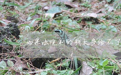 如果法院判的钱太多给不了 如果法院判的钱太多给不了