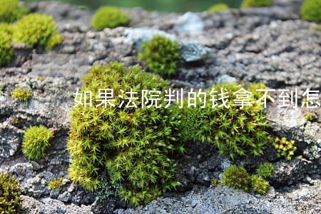 如果法院判的钱拿不到怎么办