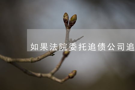 如果法院委托追债公司追债可以吗 如果法院委托追债公司追债可以吗