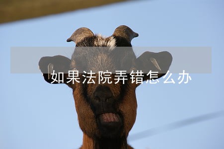 如果法院弄错怎么办 如果法院弄错怎么办
