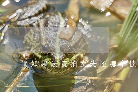 如果法院拍卖先还哪个债务 如果法院拍卖先还哪个债务