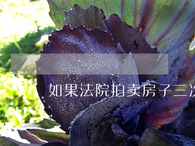 如果法院拍卖房子三次