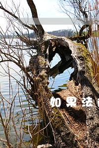如果法院终结执行了 如果法院终结执行了