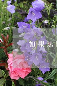 如果法院给了传票不去会怎样 如果法院给了传票不去会怎样