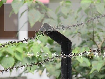 如果法院起诉自己愿意还 如果法院起诉自己愿意还