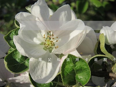 如果父母信用卡逾期不还 如果父母信用卡逾期不还