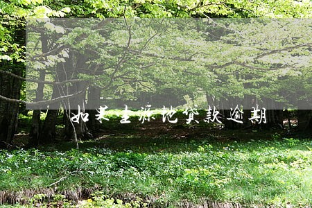 如果生源地贷款逾期 如果生源地贷款逾期