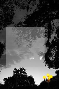 如果生病导致网贷逾期 如果生病导致网贷逾期