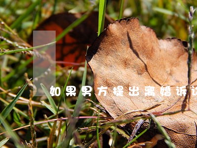 如果男方提出离婚诉讼