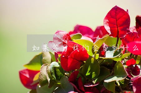 如果签了我们会受到什么法律后果 如果签了我们会受到什么法律后果
