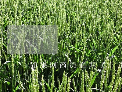 如果网商贷逾期了13天 如果网商贷逾期了13天