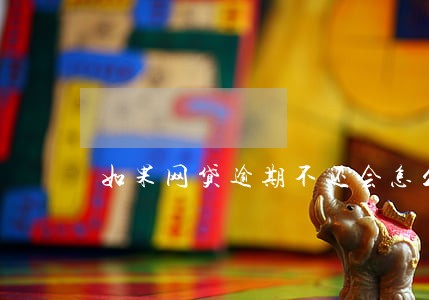 如果网贷逾期不还会怎么样 如果网贷逾期不还会怎么样