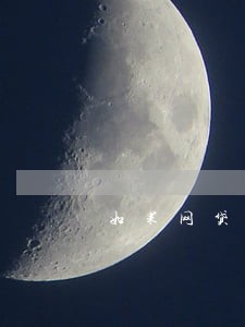 如果网贷逾期了一年 如果网贷逾期了一年