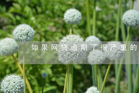 如果网贷逾期了很严重的话 如果网贷逾期了很严重的话