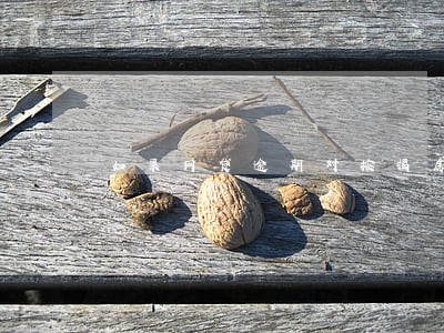 如果网贷逾期对按揭房有影响吗 如果网贷逾期对按揭房有影响吗