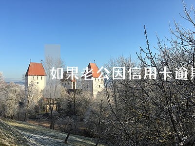 如果老公因信用卡逾期 如果老公因信用卡逾期