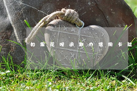 如果花呗逾期办信用卡能办吗 如果花呗逾期办信用卡能办吗
