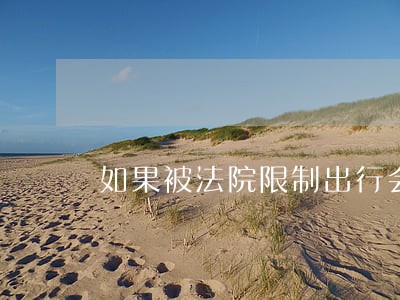 如果被法院限制出行会是什么情况 如果被法院限制出行会是什么情况
