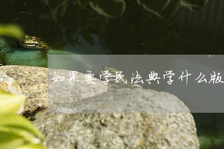 如果要学民法典学什么版本的呢 如果要学民法典学什么版本的呢