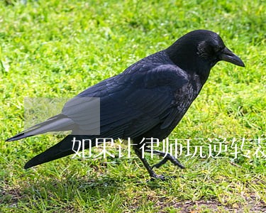 如果让律师玩逆转裁判会发生什么 如果让律师玩逆转裁判会发生什么