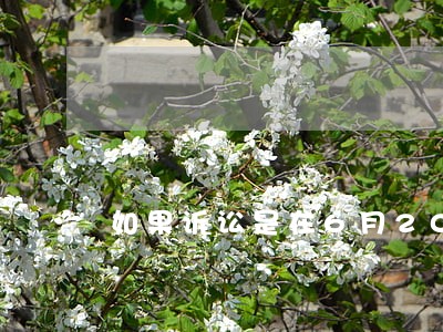 如果诉讼是在6月20日提起的 如果诉讼是在6月20日提起的