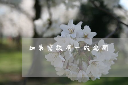 如果贷款有一次逾期 如果贷款有一次逾期
