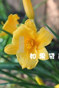 如果贷款有逾期怎么办 如果贷款有逾期怎么办