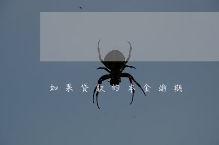 如果贷款的本金逾期 如果贷款的本金逾期