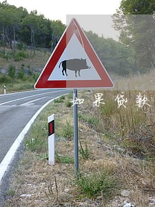 如果贷款还款逾期了怎么办 如果贷款还款逾期了怎么办