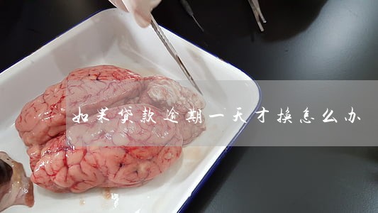 如果贷款逾期一天才换怎么办 如果贷款逾期一天才换怎么办