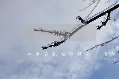 如果贷款逾期银行不通知处理
