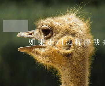 如果走司法程序我会面临刑事责任 如果走司法程序我会面临刑事责任