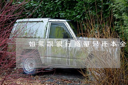 如果跟银行商量只还本金 如果跟银行商量只还本金